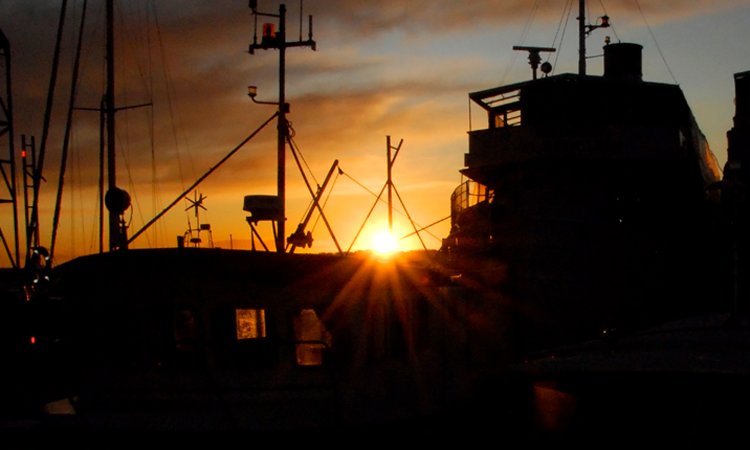 Ö-varvet - båtar i solnedgång